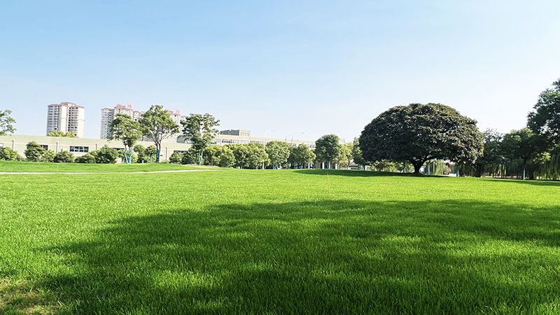 5357cc��˹ά��˹������